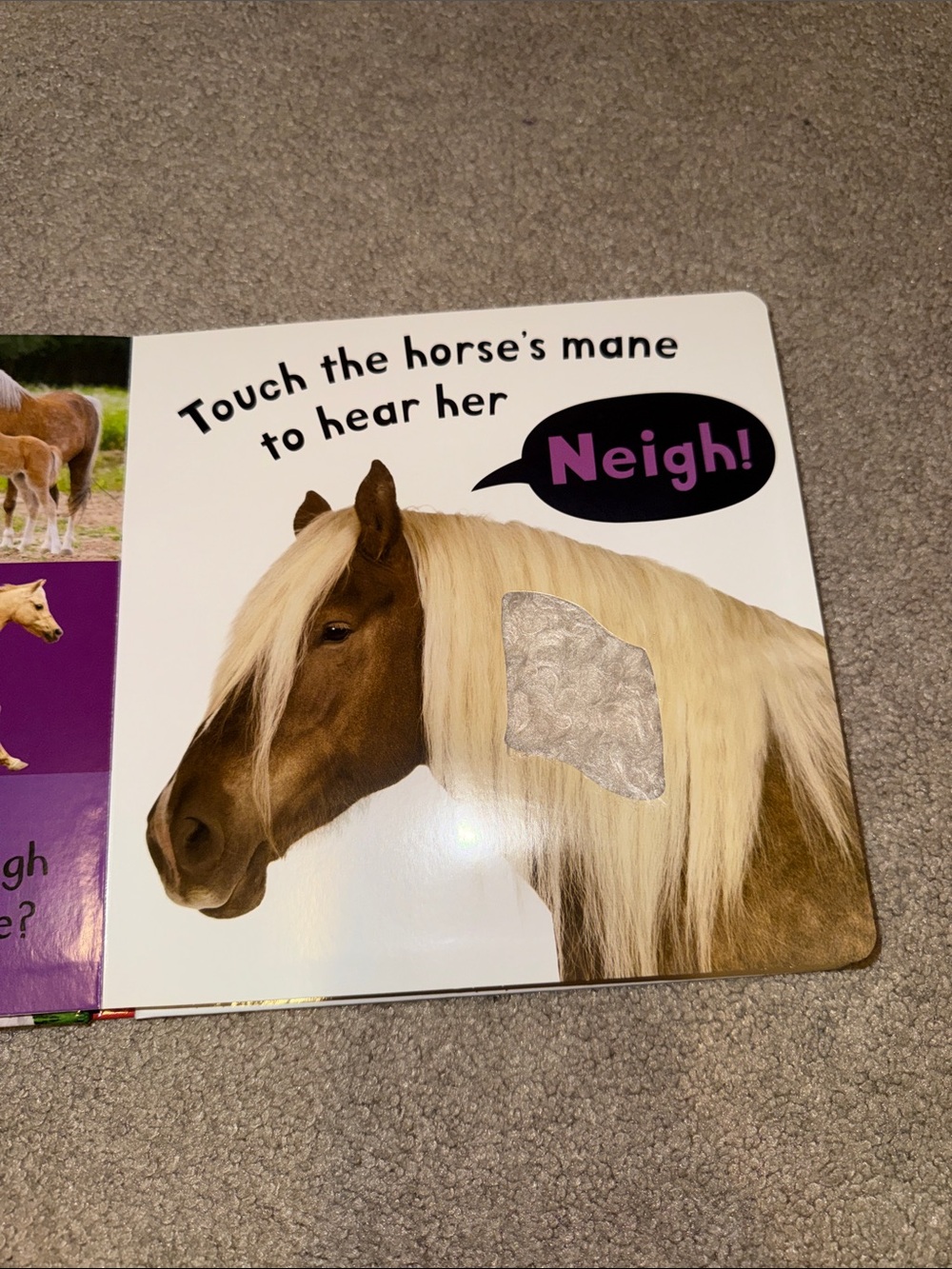 Animal Books - Picture 7 of 7